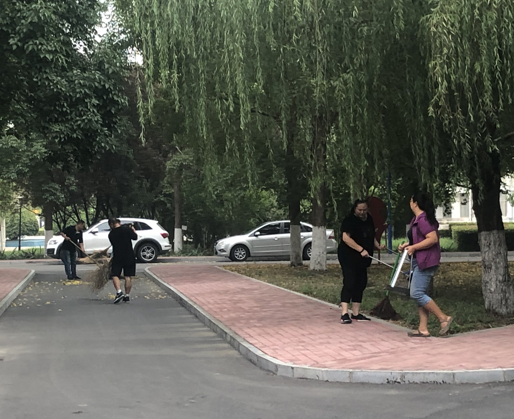 图片新闻图书馆组织职工义务劳动