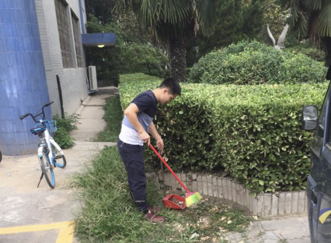 图片新闻图书馆组织职工义务劳动